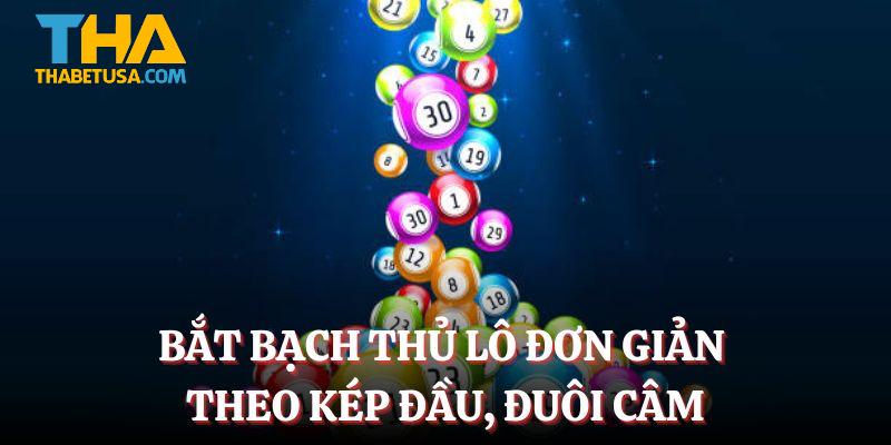 Bắt bạch thủ lô đơn giản theo kép đầu, đuôi câm