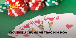 Giới thiệu Cách Chơi Bài Trắc Kim Hoa