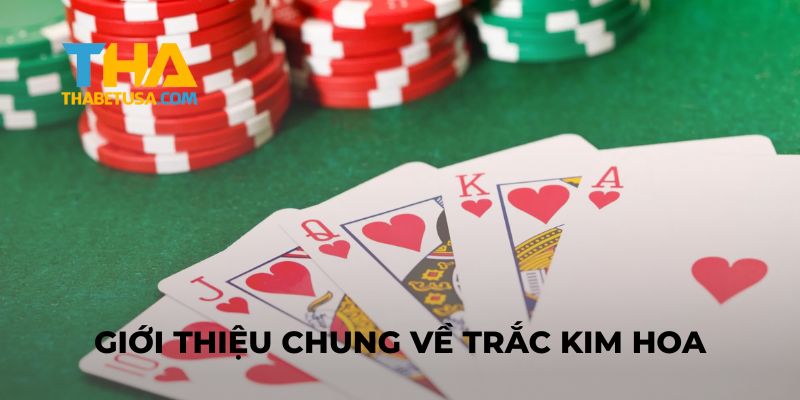 Giới thiệu Cách Chơi Bài Trắc Kim Hoa