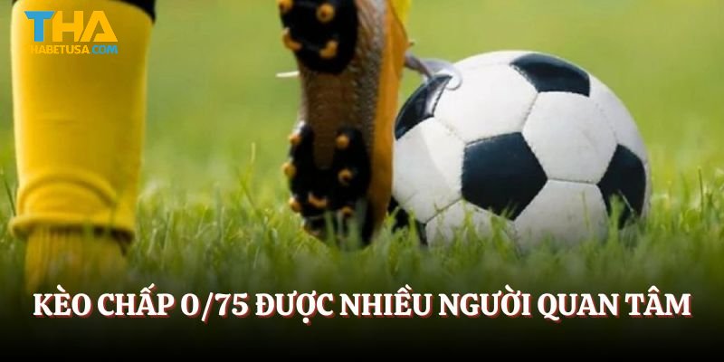 Kèo chấp 0/75 được nhiều người quan tâm